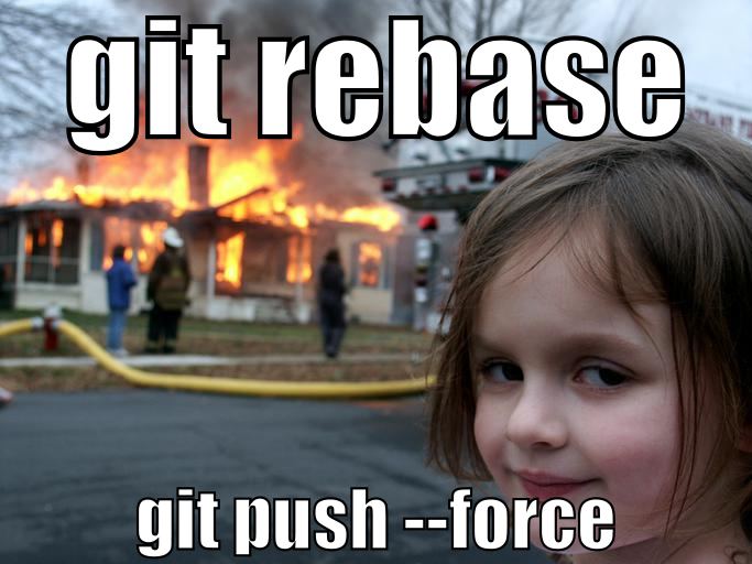 Git push force