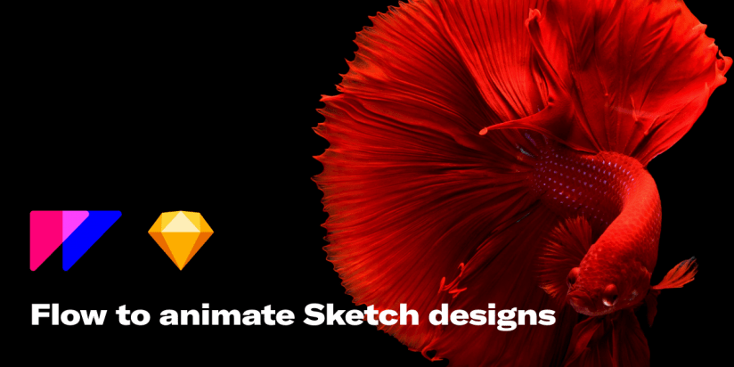 Flow is a tool to animate and export Sketch designs Flow is a tool to animate and export Sketch designs