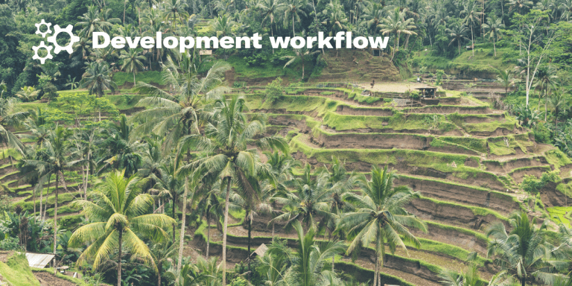 The example of a development workflow The example of a development workflow