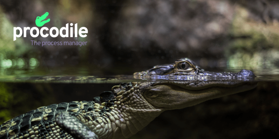 Procodile process manager for development and production Procodile process manager for development and production. Syndicode news