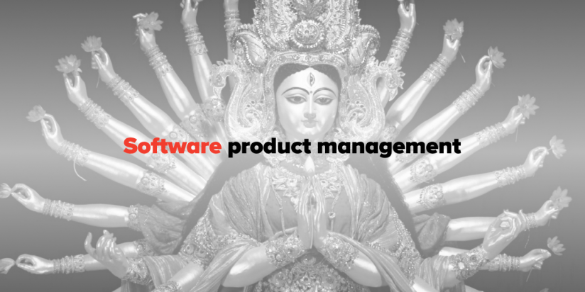 Software product management
