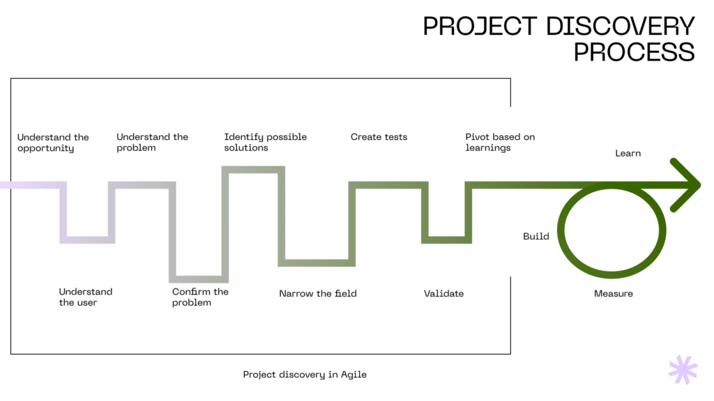 Project discovery process