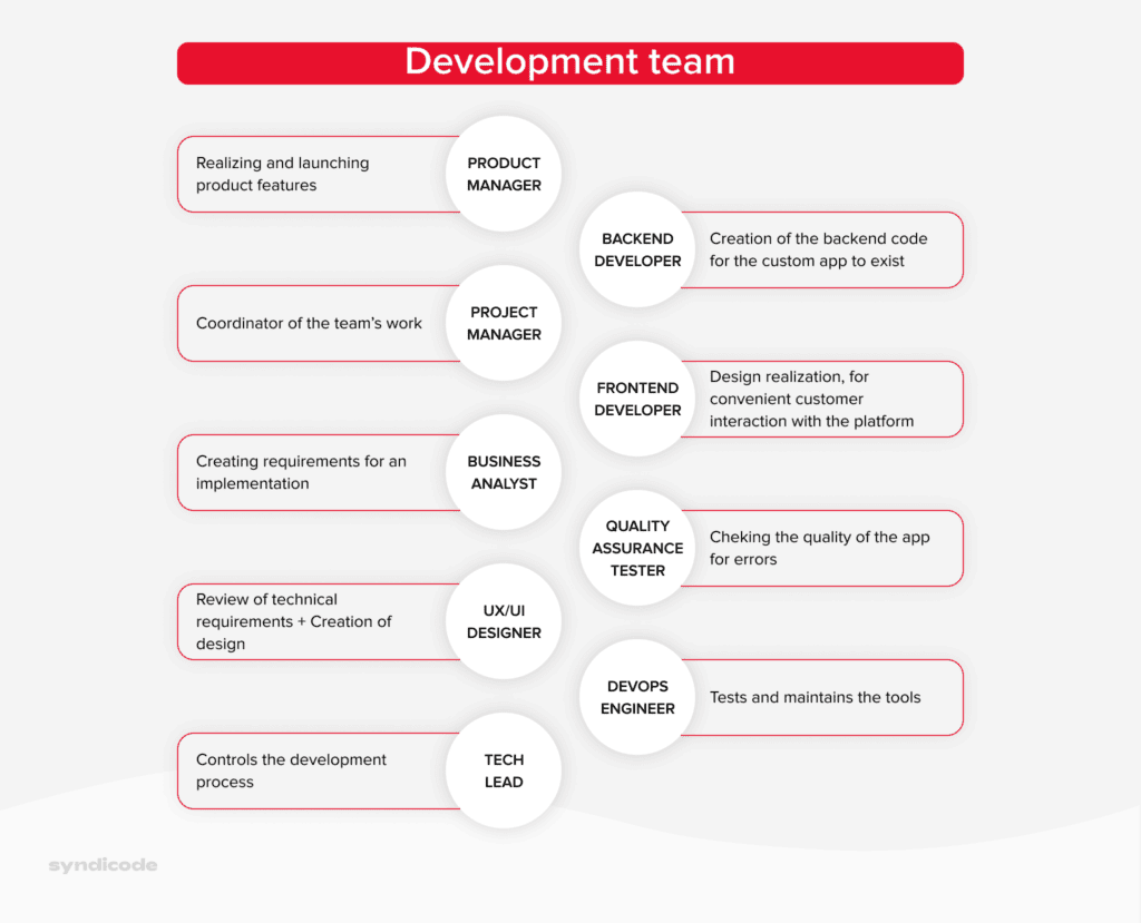 The structure of a typical dedicated development team
