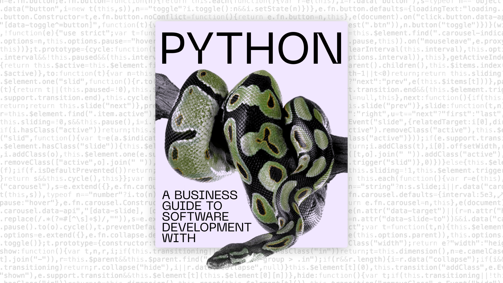 A business guide to software development with Python