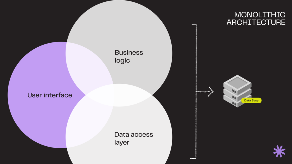 Monolithic software architecture